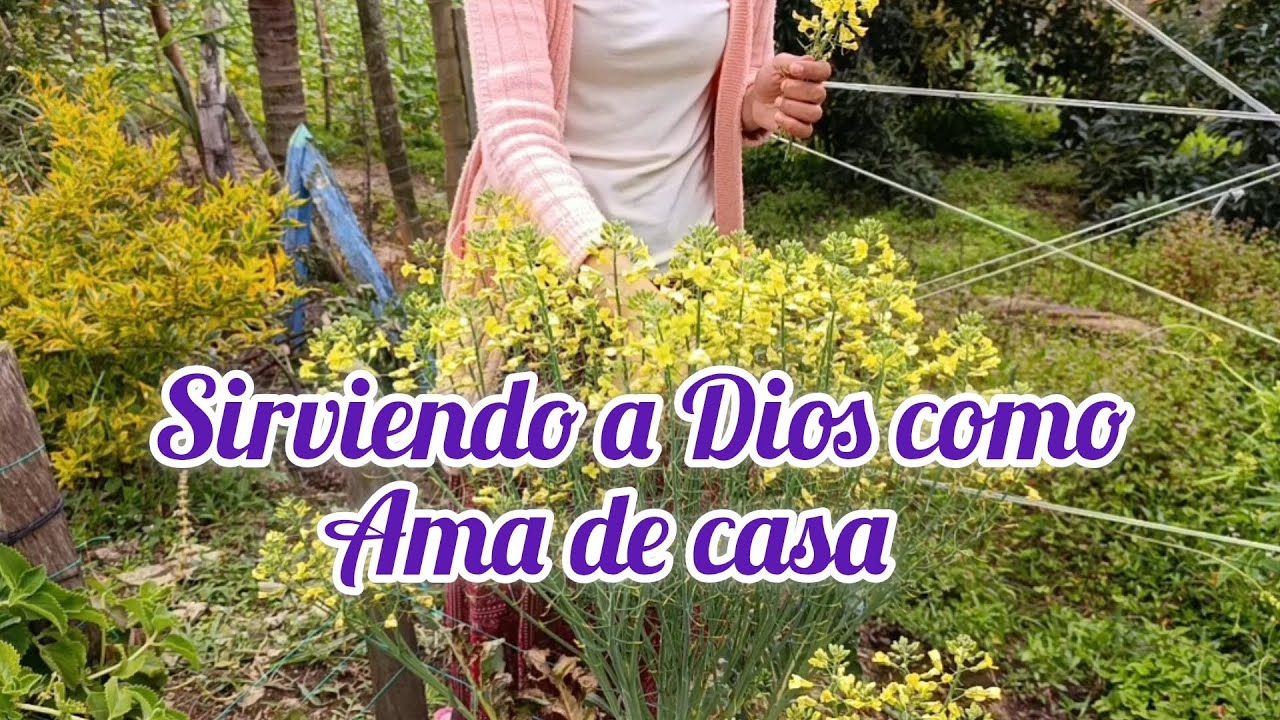 ✨ ¿Cómo servir a Dios desde mi hogar?🏡