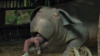 [4K] Inside a hippo-pig&#39;s mouth (O)