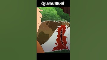 How I think warrior cats sound (CREDITS IN DESC) #capcut #edit #warriorcats #books #erinhunter #cats