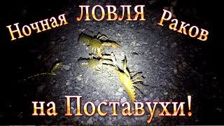 Ночная ЛОВЛЯ Раков на ПОСТАВУХИ! Или Как НАЙТИ Раков в Водоёме! Ночная ЛОВЛЯ Раков на ПОСТАВУХИ! Или Как НАЙТИ Раков в Водоёме!
