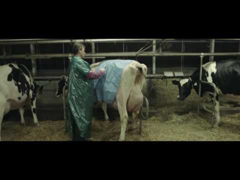 Vidéo: La Taille Des Bols Alimentaires Compte - Vétérinaire Quotidien