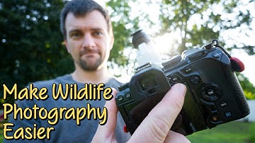 How to Customize the OM System OM-1 Mark II for bird and wildlife photography | Settings | Tips