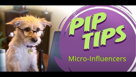 How to Boost your Brand with Micro-Influencers | Pip