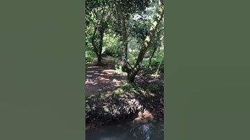 Béc tưới cách đập 2 tia đường kính từ 10-15m