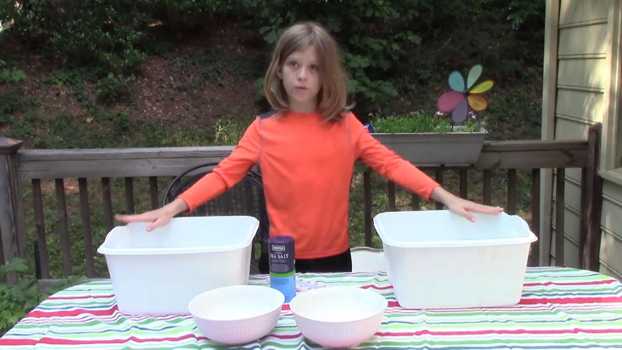 Ice in Fresh vs Salt Water YouTube