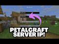 Minecraft PetalCraft Server IP Address