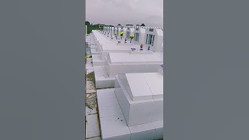 Cực Lạc Thái Bình Tây Ninh buổi sáng