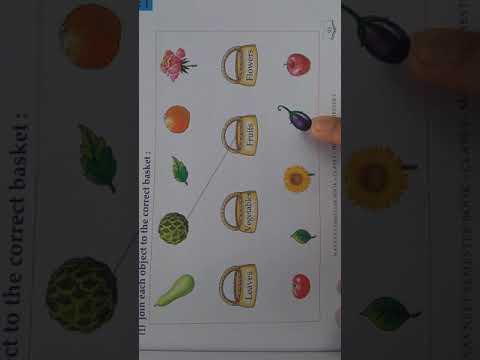 Maths Grade 1 Chapter 2 Sorting,Classifying and Forming Groups Video 2