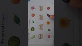 Maths Grade 1 Chapter 2 Sorting,Classifying and Forming Groups Video 2