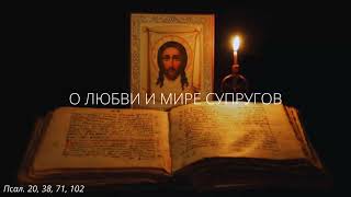 картинка: 7.  О любви и мире супругов