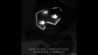  Who Is She X Perfect Girl  Monster X Mareux  Instrumental  Slowed