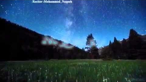 القارئ محمد النقيب من يتق الرحمن ﷻ يجعل له من كل ضيق مخرجا