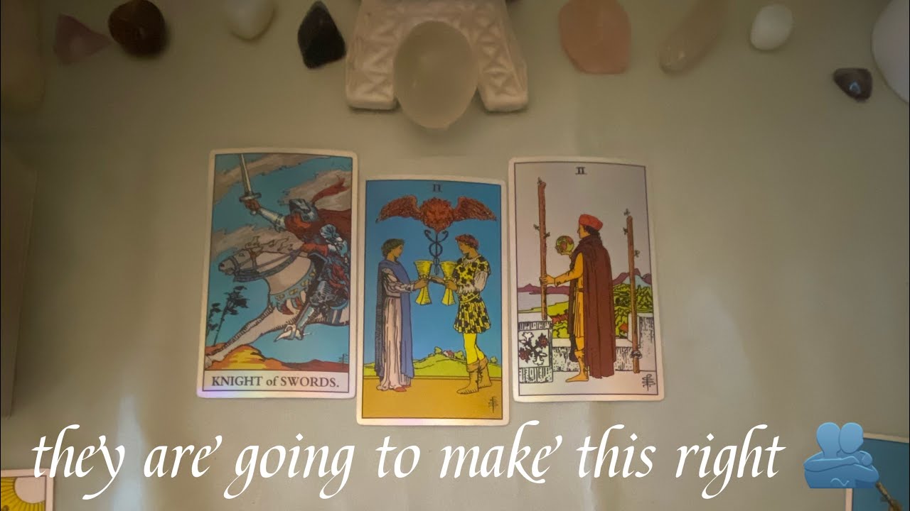 you are about to receive the ultimate apology from them 🫂🏆