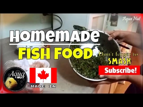Homemade Fish Food | Preparing Food For Cichlids & Goldfish