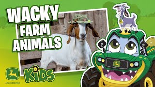 Spot The Difference Game: Farm Animal Edition #3 🐐 ! | Games For Kids | John Deere Kids