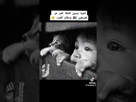 ديدين كلاش يدعم فلسطين