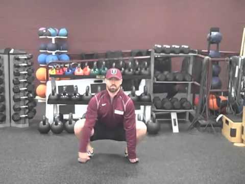 Toe-Touch Squat