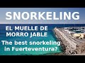 Fuerteventura Snorkelling - El Muelle de Morro Jable