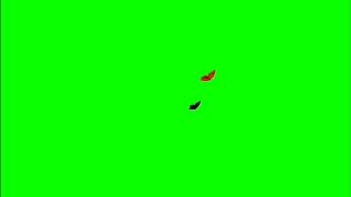 ✔️GREEN SCREEN EFFECTS:  butterflies decoration