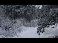 Walden - Der Erste Schnee Das Land Befiel