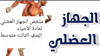 ملخص الفصل الثالث الجهاز العضلي لمادة الاحياء للصف الثالث متوسط ٢٠٢٣