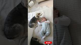 Download Lagu “Cutest Baby \u0026 Dog Playing Together 🐶🐱👶 #highlight #baby MP3 Download Lagu “Cutest Baby \u0026 Dog Playing Together 🐶🐱👶 #highlight #baby MP3