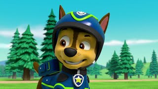 Paw Patrol 31