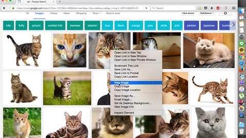 Anki Tutorial: How to Add Pictures to Cards
