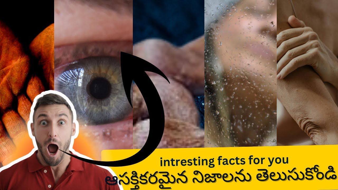 Red Eyes While Swimming, Apple Seed Poison, Scorpio Facts & Bathing Myths Explained | | facts telugu