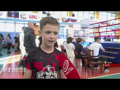 В Орле определились победители и призеры чемпионата и первенства Орловской области по кикбоксингу.