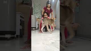 हसत रह I Funny Couple I Rita Singh I Ritangal I Husband Wife Comedy I Lovemarriage I