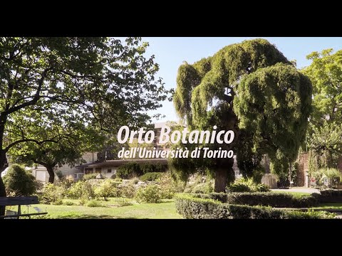 Orto Botanico TORINO