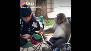 Begini kalo ngak ada uang pinjam pinjam uang bahasa banjar