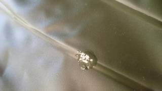 INTEX SEAHAWK 2 cracks after 10 hrs of using with outboard