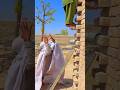 Dulhan na bande ko bacha liya#islamicprayer #india #لايك #تصميمي #اكسبلور #متابعه #viralvideo