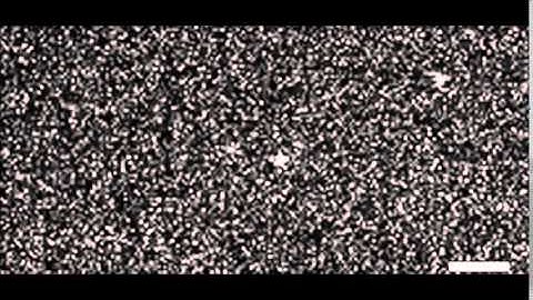 Multisite phosphorylation of the NDC80 complex gradually tunes its microtubule-binding affinity