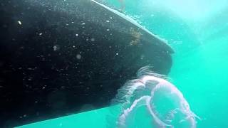 A Briny Day Stuart Florida
