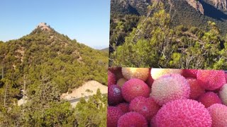 طلعتكم معيا ليوم لجبل ⛰️مناضر خلابة شفنا  ? رياضة درنا وساسنو جنينا@ مغربية في ماليزيا