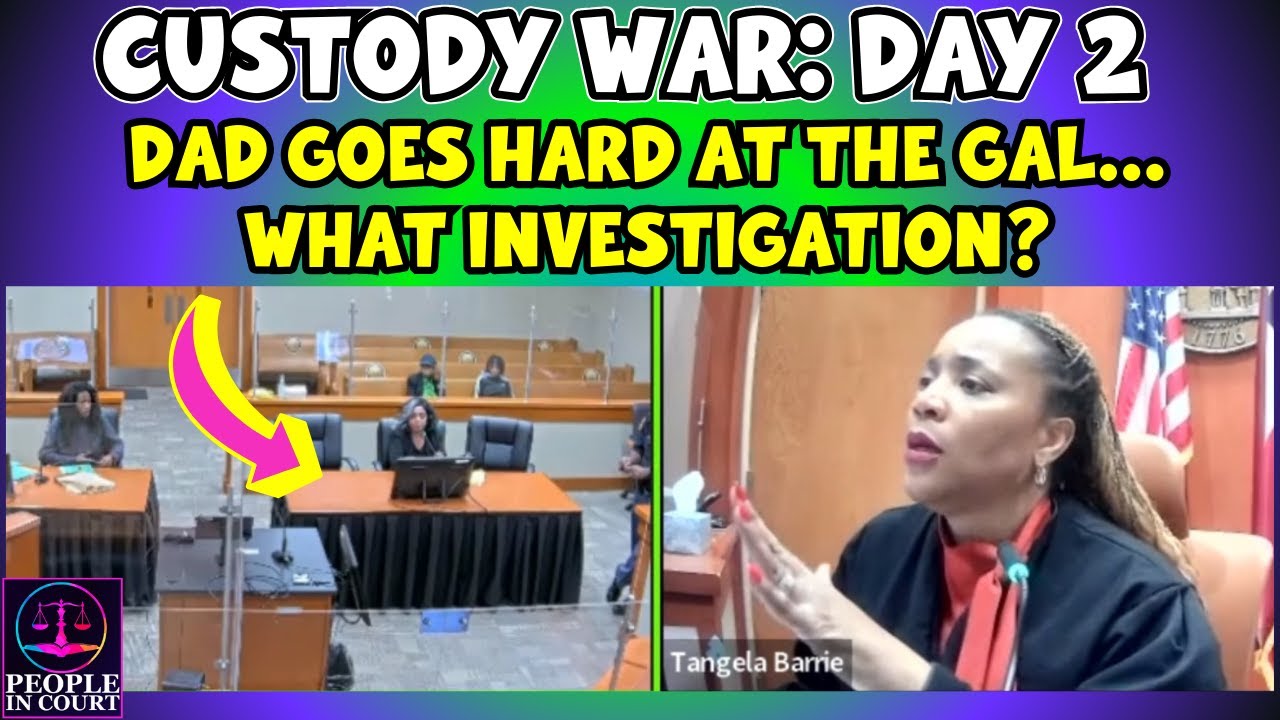 Custody War: Day 2 - Pro Se Dad Interrogation of Guardian Ad Litem & Her "Investigation"