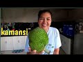 BREADNUT | GINATAANG KAMANSI vlog #252