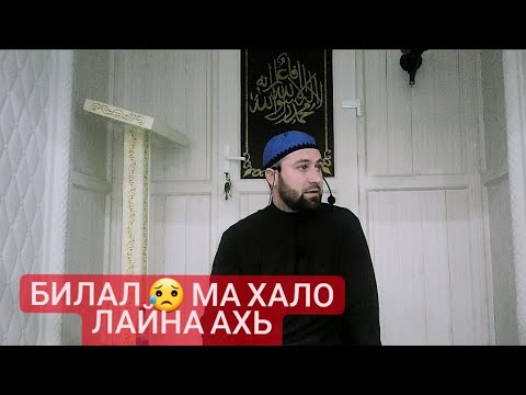 Хьехам (Билал Мол)