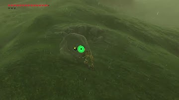 [DAY 630] of finding one korok seed everyday until Totk comes out