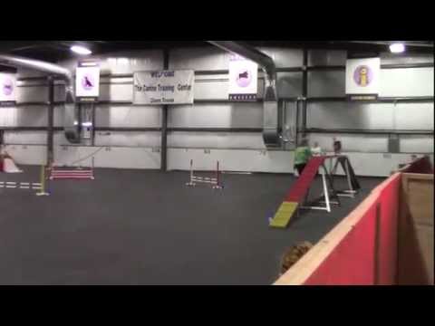 Donna Louie Wildcard 4 3 15