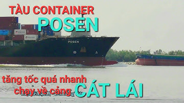 #252 Khi tàu container POSEN tăng tốc chạy quá nhanh về Tân cảng Cát Lái/container ship/kiệp family.