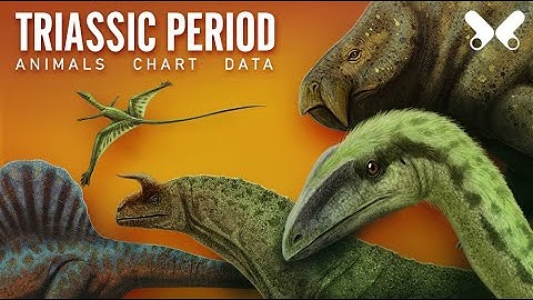 TRIASSIC PERIOD. Animals size comparison and data. Paleoart