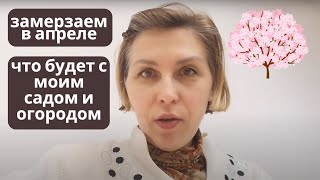 Замерзаю в апреле. Что будет с садом и огородом? Жизнь в #польше. I'm freezing in April. #poland