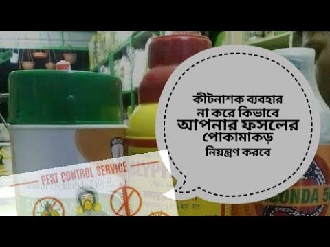 ভিডিও: কিভাবে কনফিডার বেছে নিতে হয়