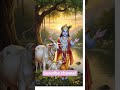 #love #vlog #shortvideo #shyam #krishna #god #premanandjimaharaj #vrindavan #goverdhan