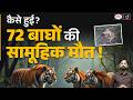 How Did 72 Tigers Die in Thailand? | Mass Death Explained | Current News | Drishti IAS