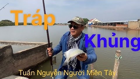 Chia sẻ cách câu cá tráp ( cá hanh) ngày lập đông , và tét thử bài mồi mới ủ ..